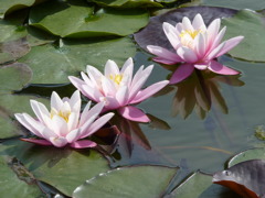 P1040395