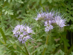 P1040317