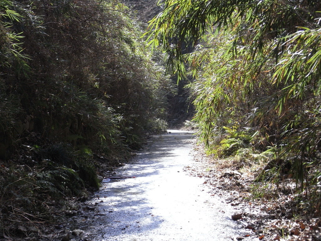 廃道2