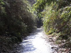 廃道2
