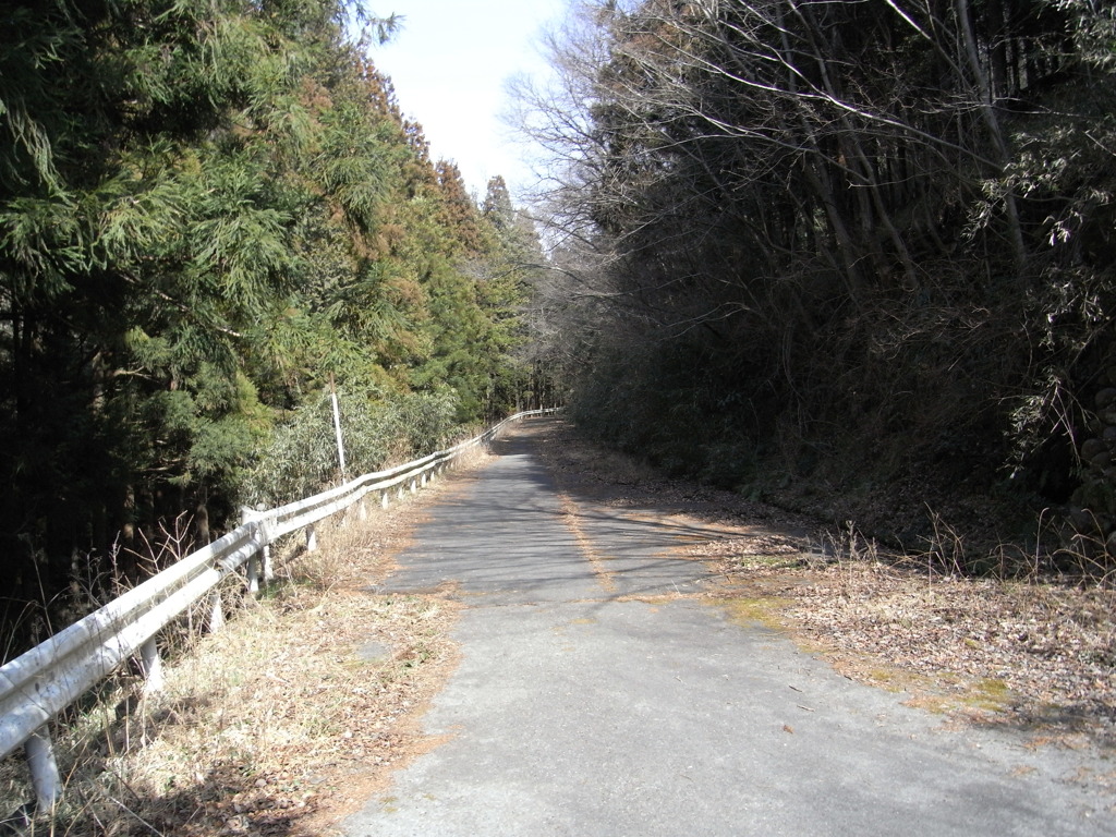 廃道