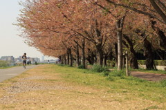 晴れた日の午後のひととき