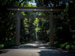 明治神宮の鳥居　北参道