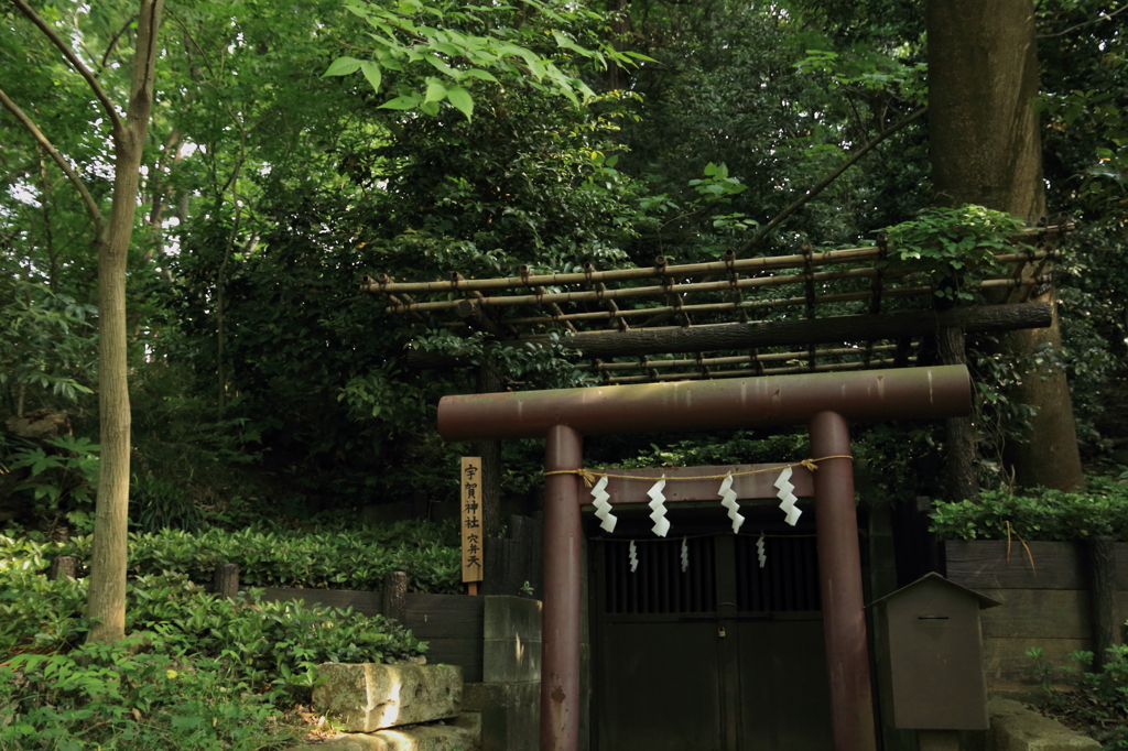 公園内の祠