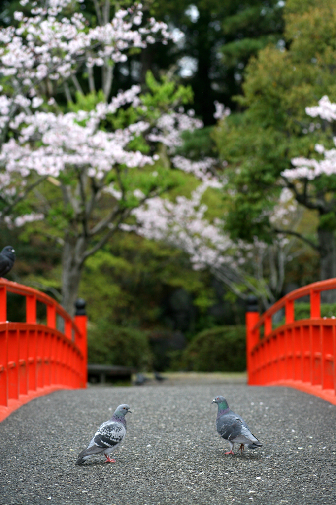 恋の予感？