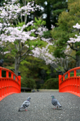 恋の予感？