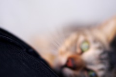 怖いかも？