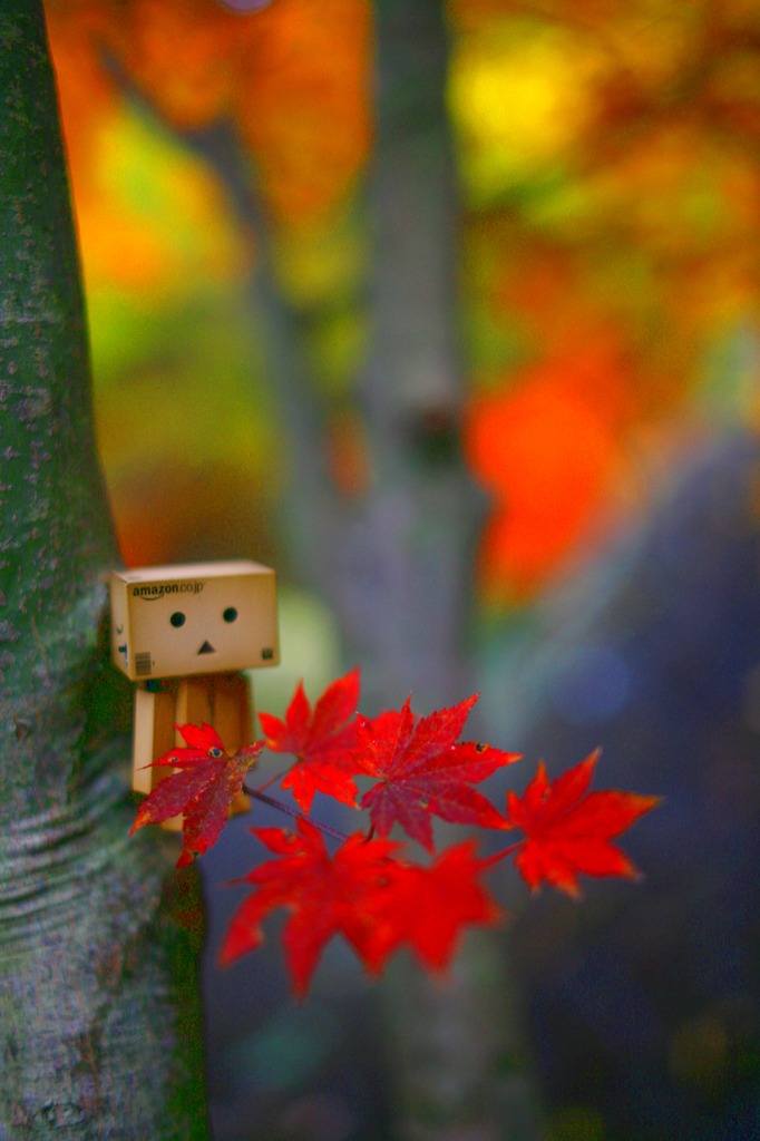 紅葉と友達♪