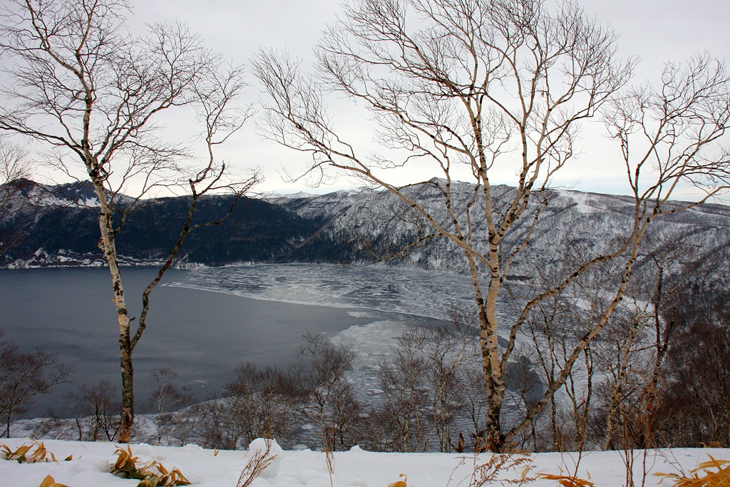 氷河期