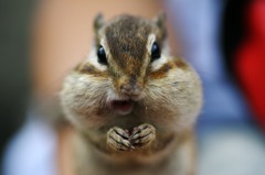 まだ食べる？