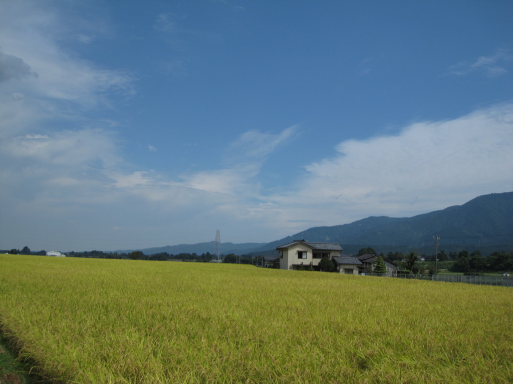 ある富山のいい風景