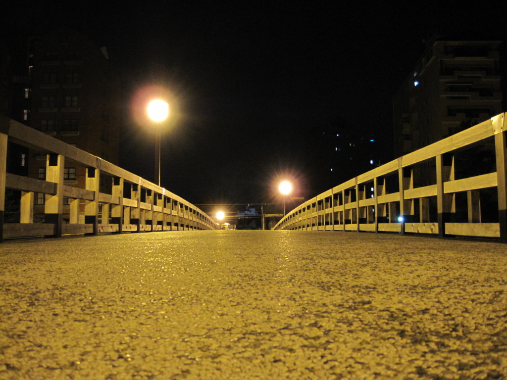夜中の梅の橋