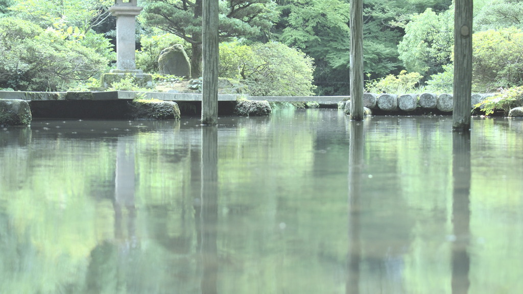 緑の池