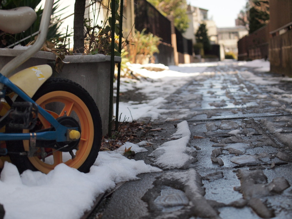雪はとけ、まだらに白く。