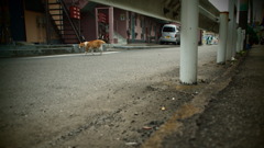 帰路