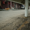 帰路
