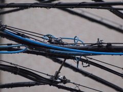 電線に雨が降る