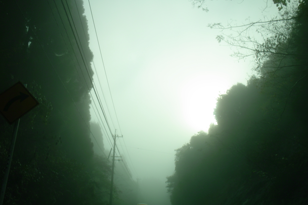 朝霧の中