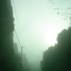 朝霧の中