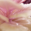 その茎。