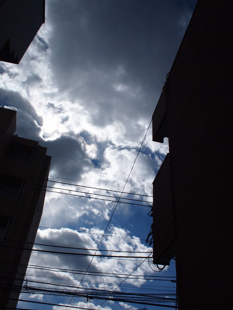 空と電線
