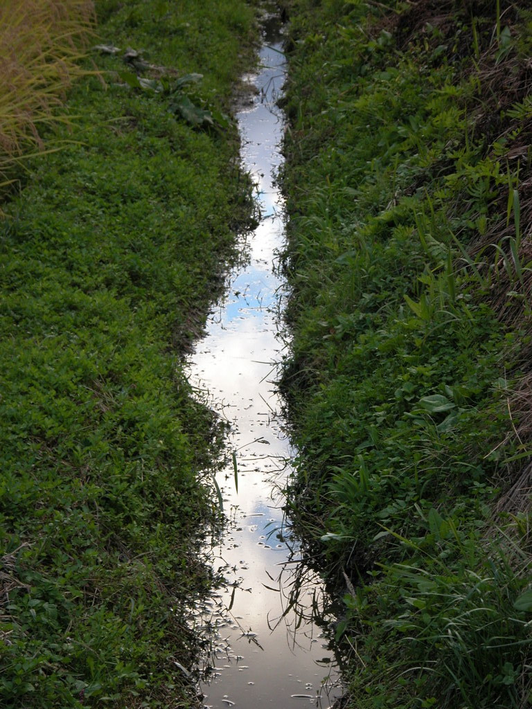 空の道