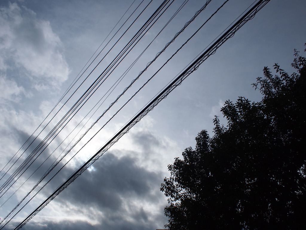 今日の空