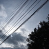 今日の空