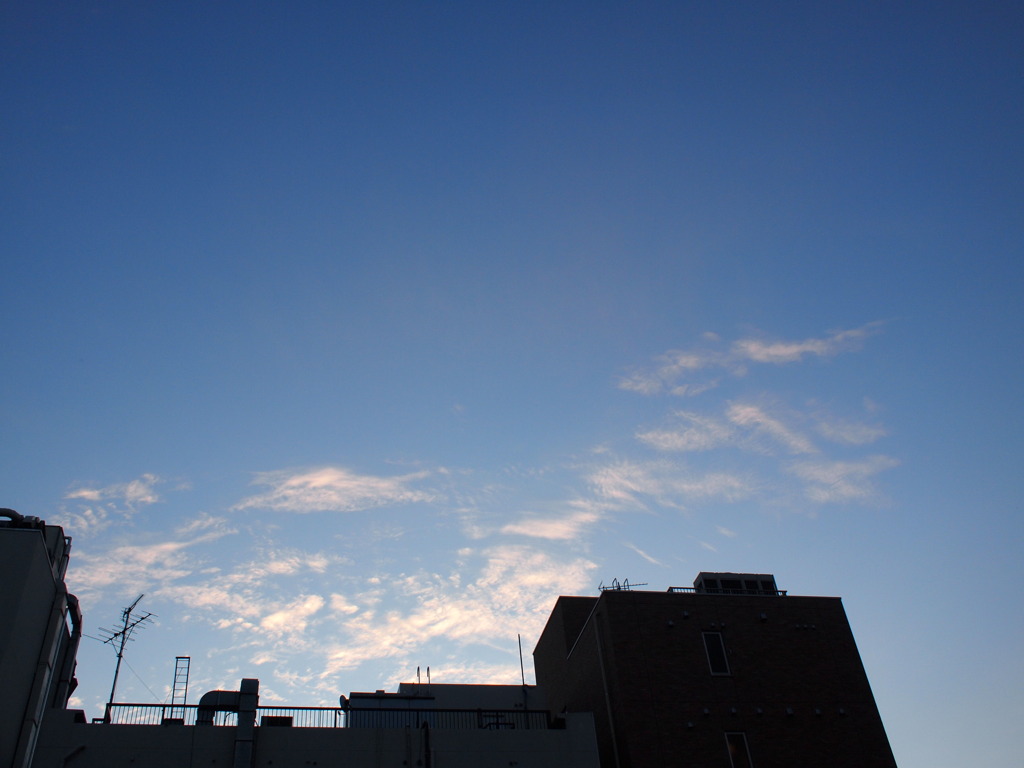 ある夕暮れ