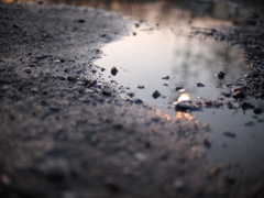水鏡の中に光る