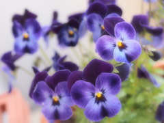 3月12日