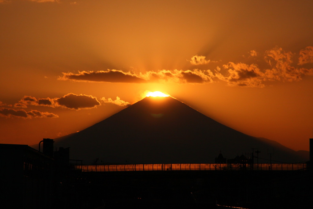 尊厳