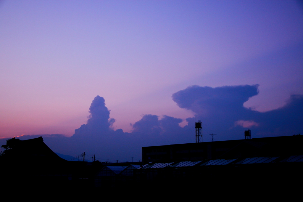 雲の饗宴