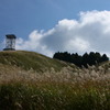心通じて。。