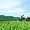 夏の香り