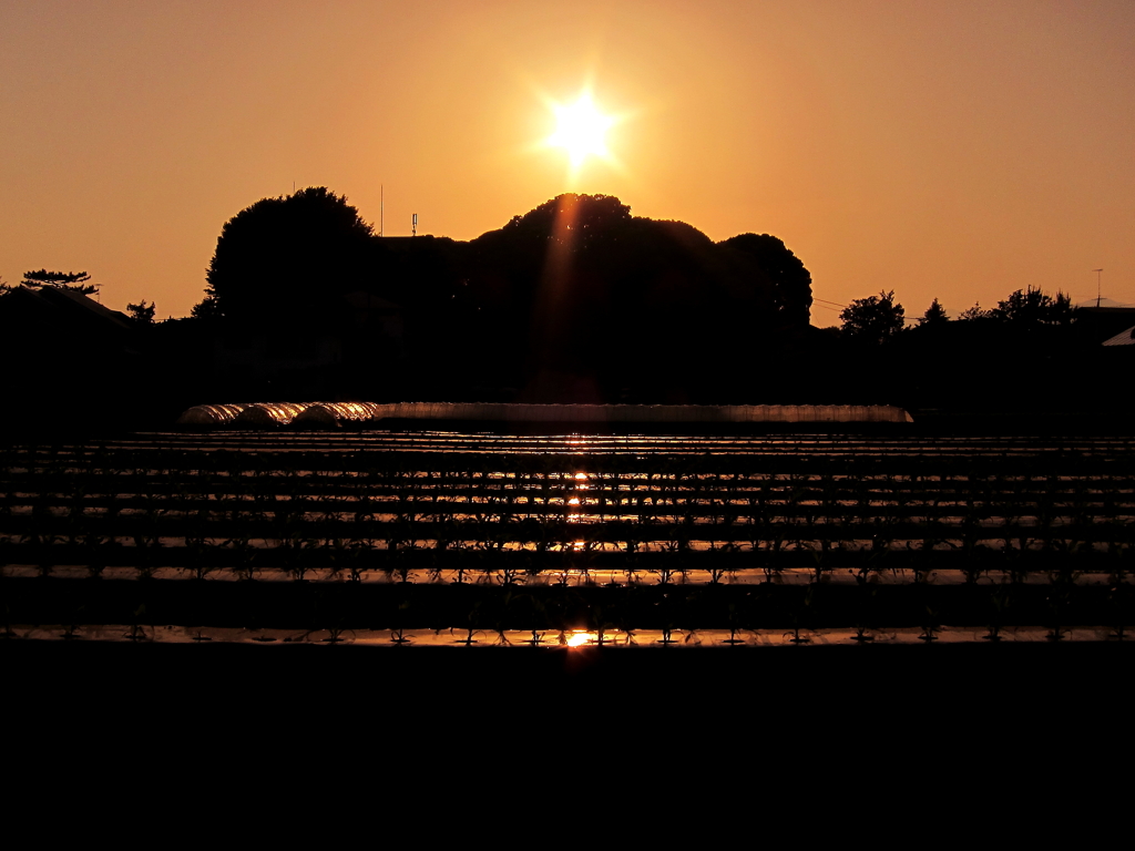 農村夕景　～イメージ～