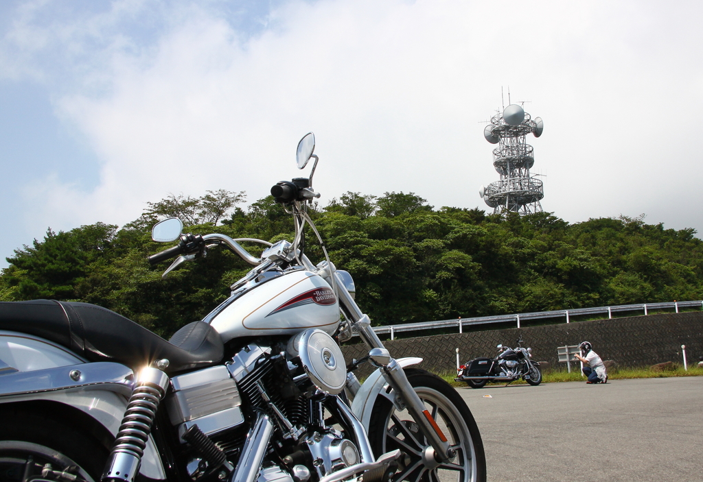 相棒と末永く幸せにね♪