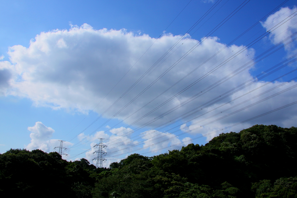 大空に琴線を