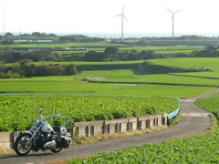 風車