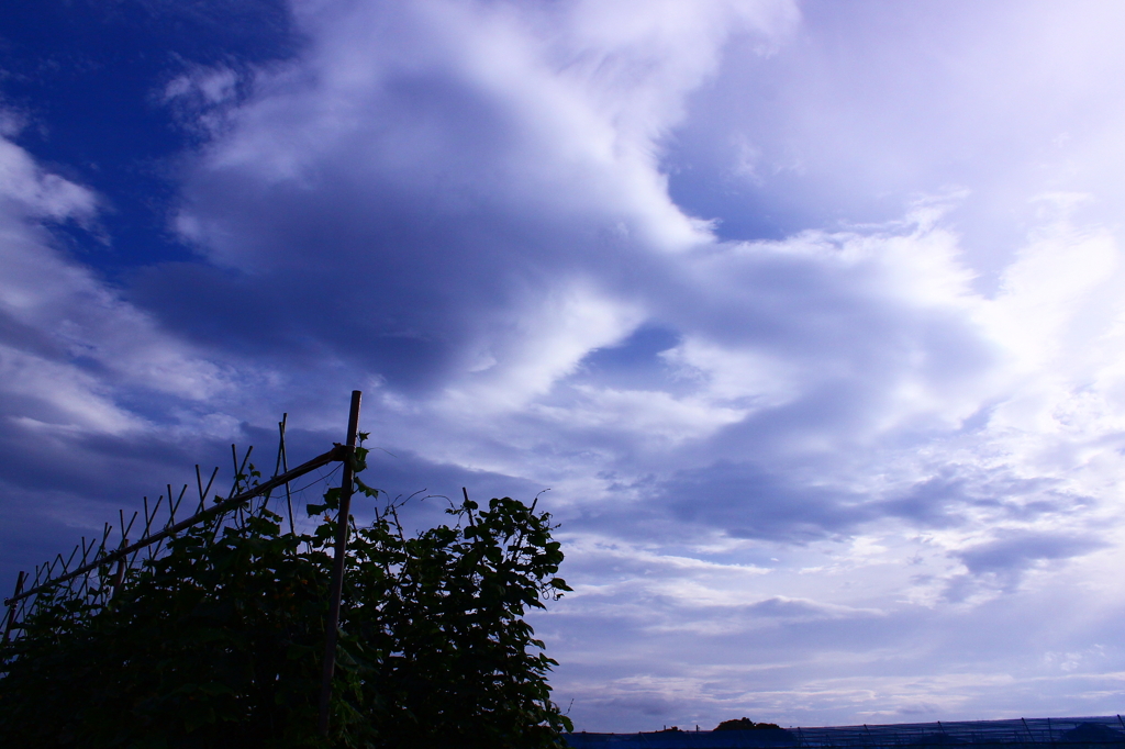 大空めざして