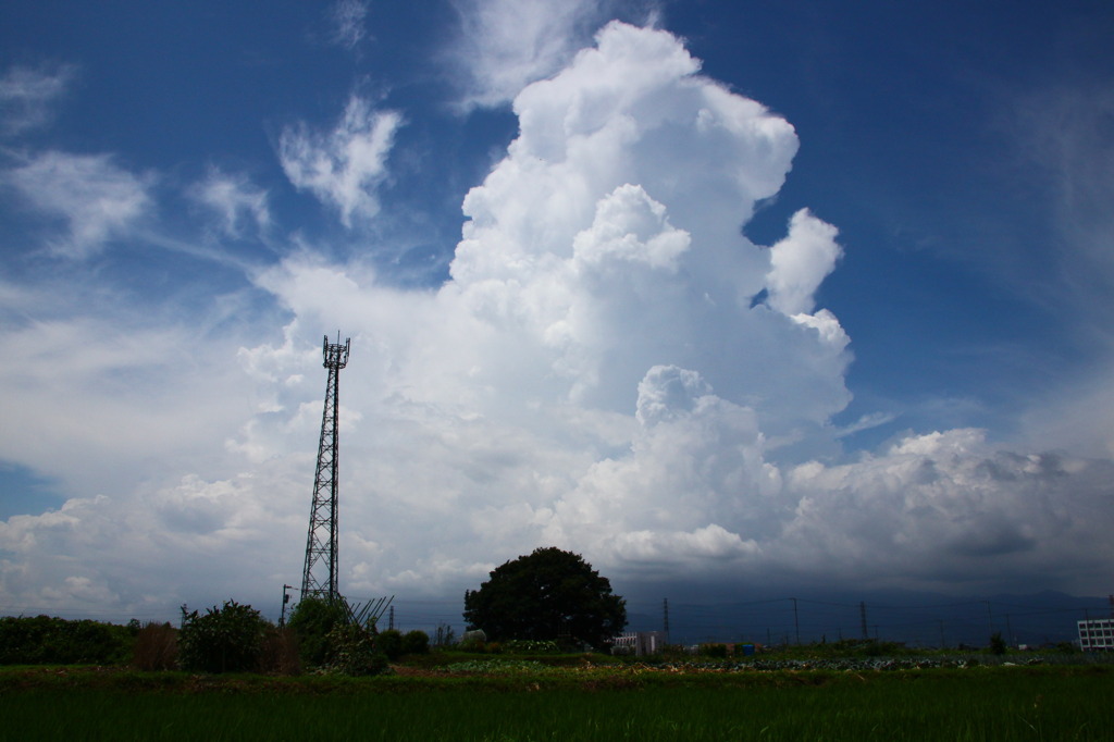 そびえ立つ夏雲