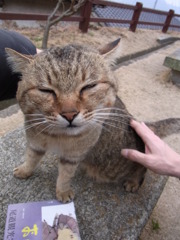 尾道にゃんこ