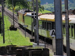 DSC00388