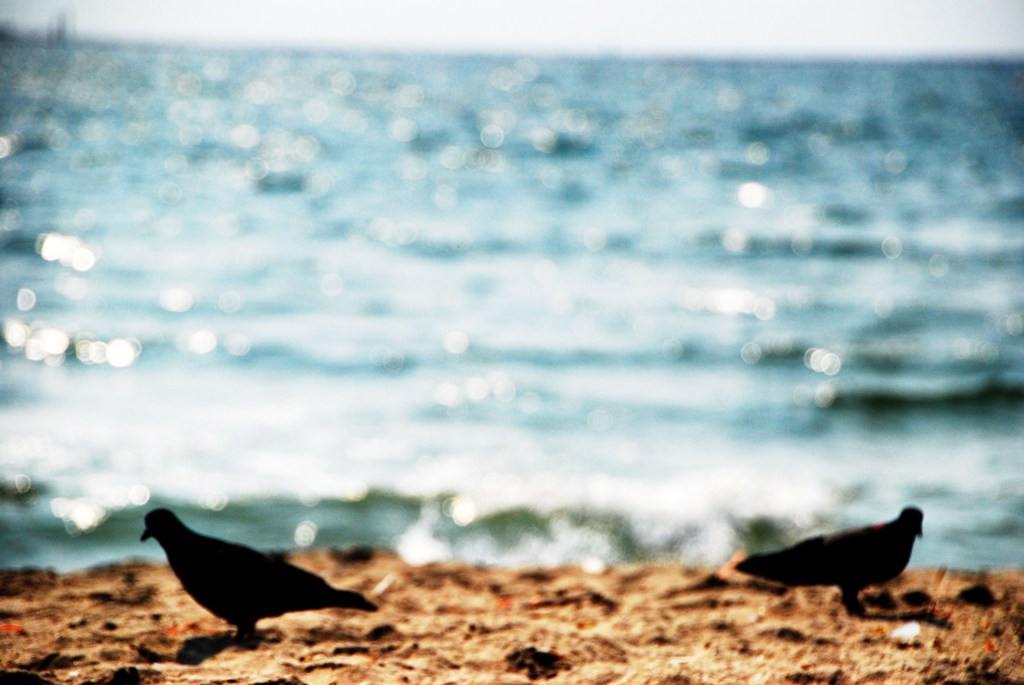 海の思い出　♯２