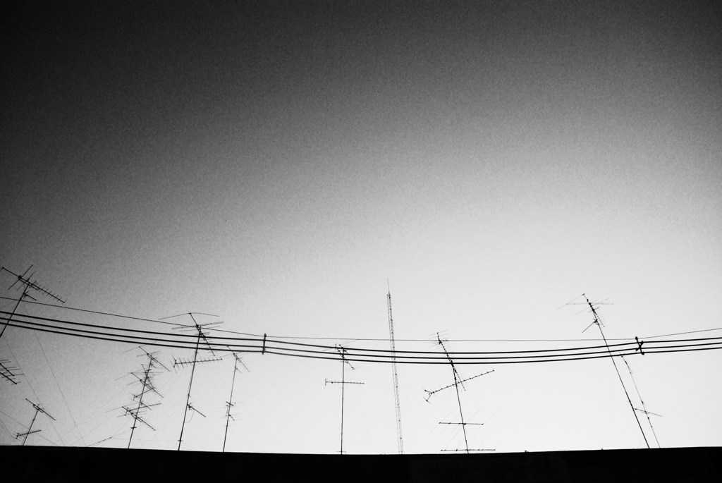 見えない情報網