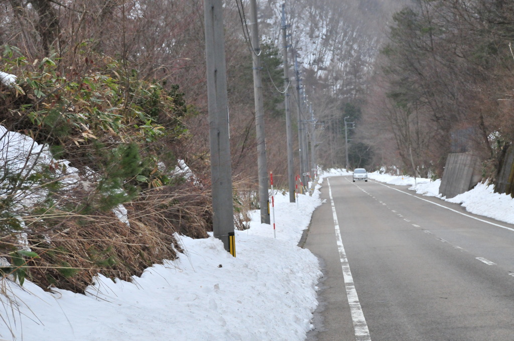 島根の山中