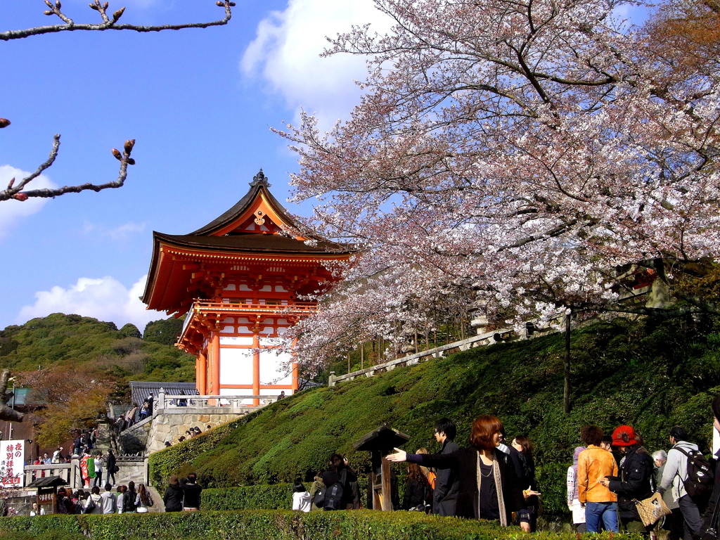 清水寺2009春