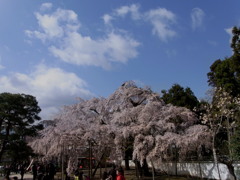 醍醐寺 入り口2009春