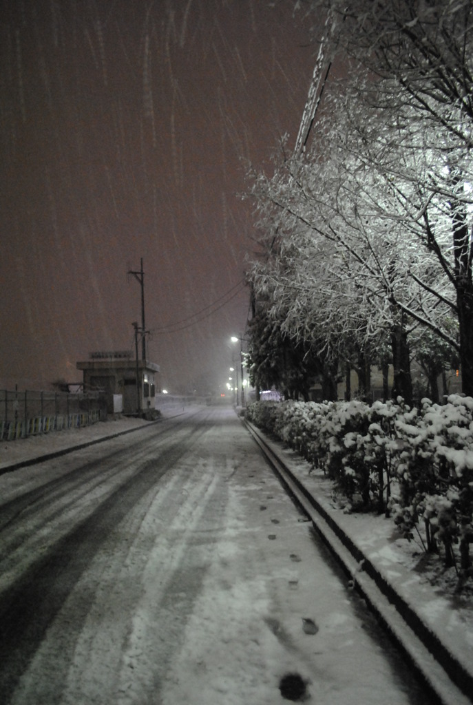 雪