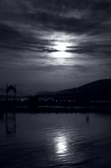 IMG_0604